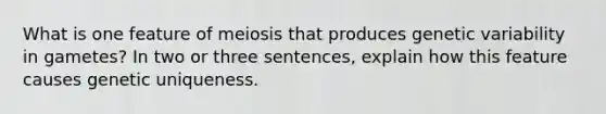 What is one feature of meiosis that produces genetic variability in gametes? In two or three sentences, explain how this feature causes genetic uniqueness.