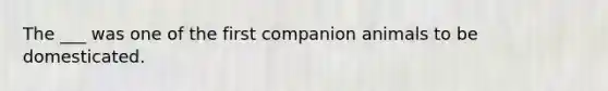 The ___ was one of the first companion animals to be domesticated.