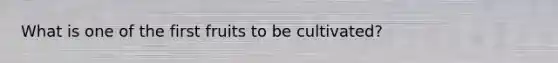 What is one of the first fruits to be cultivated?
