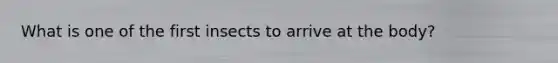 What is one of the first insects to arrive at the body?