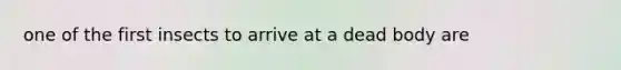 one of the first insects to arrive at a dead body are