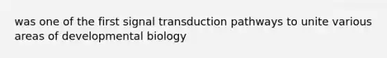 was one of the first signal transduction pathways to unite various areas of developmental biology