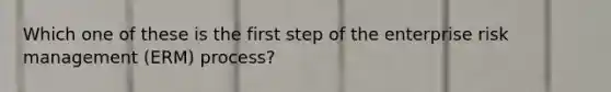 Which one of these is the first step of the enterprise risk management (ERM) process?