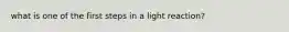 what is one of the first steps in a light reaction?