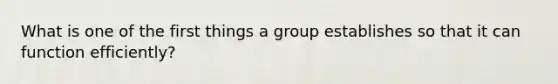 What is one of the first things a group establishes so that it can function efficiently?