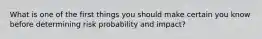 What is one of the first things you should make certain you know before determining risk probability and impact?