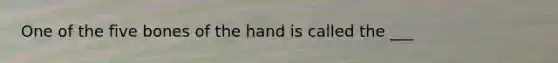 One of the five bones of the hand is called the ___