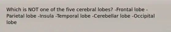 Which is NOT one of the five cerebral lobes? -Frontal lobe -Parietal lobe -Insula -Temporal lobe -Cerebellar lobe -Occipital lobe