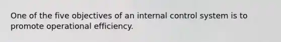 One of the five objectives of an internal control system is to promote operational efficiency.