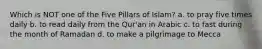 Which is NOT one of the Five Pillars of Islam? a. to pray five times daily b. to read daily from the Qur'an in Arabic c. to fast during the month of Ramadan d. to make a pilgrimage to Mecca