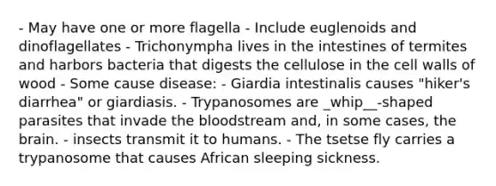 - May have one or more flagella - Include euglenoids and dinoflagellates - Trichonympha lives in the intestines of termites and harbors bacteria that digests the cellulose in the cell walls of wood - Some cause disease: - Giardia intestinalis causes "hiker's diarrhea" or giardiasis. - Trypanosomes are _whip__-shaped parasites that invade the bloodstream and, in some cases, the brain. - insects transmit it to humans. - The tsetse fly carries a trypanosome that causes African sleeping sickness.