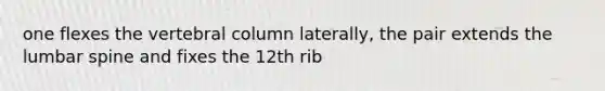 one flexes the vertebral column laterally, the pair extends the lumbar spine and fixes the 12th rib