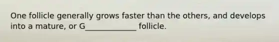 One follicle generally grows faster than the others, and develops into a mature, or G_____________ follicle.