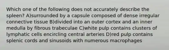 Which one of the following does not accurately describe the spleen? A)surrounded by a capsule composed of dense irregular connective tissue B)divided into an outer cortex and an inner medulla by fibrous trabeculae C)white pulp contains clusters of lymphatic cells encircling central arteries D)red pulp contains splenic cords and sinusoids with numerous macrophages
