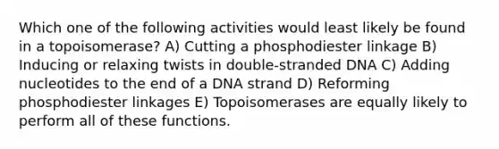 Which one of the following activities would least likely be found in a topoisomerase? A) Cutting a phosphodiester linkage B) Inducing or relaxing twists in double-stranded DNA C) Adding nucleotides to the end of a DNA strand D) Reforming phosphodiester linkages E) Topoisomerases are equally likely to perform all of these functions.