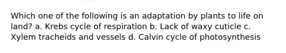 Which one of the following is an adaptation by plants to life on land? a. Krebs cycle of respiration b. Lack of waxy cuticle c. Xylem tracheids and vessels d. Calvin cycle of photosynthesis