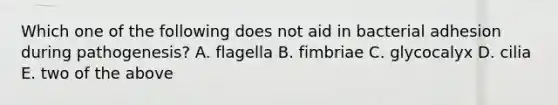 Which one of the following does not aid in bacterial adhesion during pathogenesis? A. flagella B. fimbriae C. glycocalyx D. cilia E. two of the above