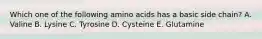 Which one of the following amino acids has a basic side chain? A. Valine B. Lysine C. Tyrosine D. Cysteine E. Glutamine