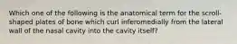 Which one of the following is the anatomical term for the scroll-shaped plates of bone which curl inferomedially from the lateral wall of the nasal cavity into the cavity itself?