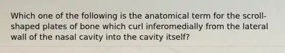 Which one of the following is the anatomical term for the scroll-shaped plates of bone which curl inferomedially from the lateral wall of the nasal cavity into the cavity itself?