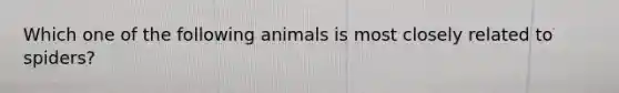 Which one of the following animals is most closely related to spiders?