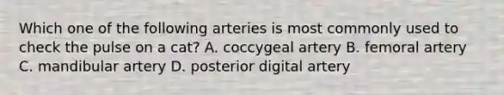 Which one of the following arteries is most commonly used to check the pulse on a cat? A. coccygeal artery B. femoral artery C. mandibular artery D. posterior digital artery