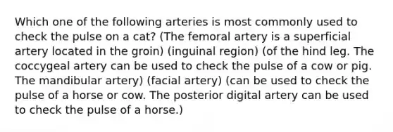 Which one of the following arteries is most commonly used to check the pulse on a cat? (The femoral artery is a superficial artery located in the groin) (inguinal region) (of the hind leg. The coccygeal artery can be used to check the pulse of a cow or pig. The mandibular artery) (facial artery) (can be used to check the pulse of a horse or cow. The posterior digital artery can be used to check the pulse of a horse.)