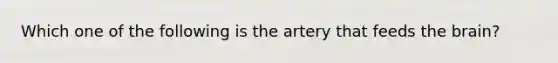 Which one of the following is the artery that feeds <a href='https://www.questionai.com/knowledge/kLMtJeqKp6-the-brain' class='anchor-knowledge'>the brain</a>?