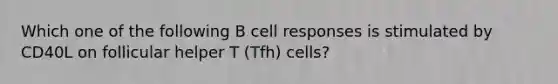 Which one of the following B cell responses is stimulated by CD40L on follicular helper T (Tfh) cells?