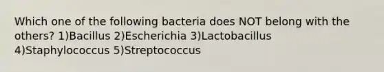 Which one of the following bacteria does NOT belong with the others? 1)Bacillus 2)Escherichia 3)Lactobacillus 4)Staphylococcus 5)Streptococcus