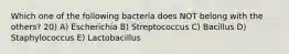 Which one of the following bacteria does NOT belong with the others? 20) A) Escherichia B) Streptococcus C) Bacillus D) Staphylococcus E) Lactobacillus