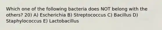 Which one of the following bacteria does NOT belong with the others? 20) A) Escherichia B) Streptococcus C) Bacillus D) Staphylococcus E) Lactobacillus