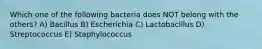 Which one of the following bacteria does NOT belong with the others? A) Bacillus B) Escherichia C) Lactobacillus D) Streptococcus E) Staphylococcus