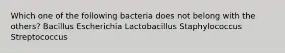 Which one of the following bacteria does not belong with the others? Bacillus Escherichia Lactobacillus Staphylococcus Streptococcus