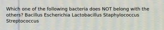 Which one of the following bacteria does NOT belong with the others? Bacillus Escherichia Lactobacillus Staphylococcus Streptococcus