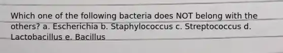 Which one of the following bacteria does NOT belong with the others? a. Escherichia b. Staphylococcus c. Streptococcus d. Lactobacillus e. Bacillus