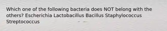 Which one of the following bacteria does NOT belong with the others? Escherichia Lactobacillus Bacillus Staphylococcus Streptococcus