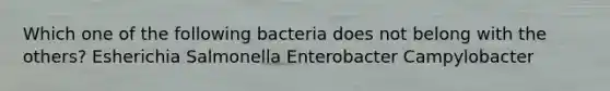 Which one of the following bacteria does not belong with the others? Esherichia Salmonella Enterobacter Campylobacter