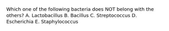 Which one of the following bacteria does NOT belong with the others? A. Lactobacillus B. Bacillus C. Streptococcus D. Escherichia E. Staphylococcus