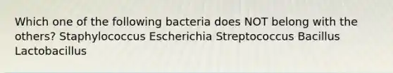 Which one of the following bacteria does NOT belong with the others? Staphylococcus Escherichia Streptococcus Bacillus Lactobacillus