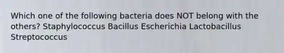 Which one of the following bacteria does NOT belong with the others? Staphylococcus Bacillus Escherichia Lactobacillus Streptococcus