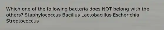 Which one of the following bacteria does NOT belong with the others? Staphylococcus Bacillus Lactobacillus Escherichia Streptococcus