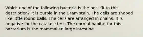 Which one of the following bacteria is the best fit to this description? It is purple in the Gram stain. The cells are shaped like little round balls. The cells are arranged in chains. It is negative for the catalase test. The normal habitat for this bacterium is the mammalian large intestine.