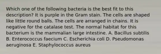 Which one of the following bacteria is the best fit to this description? It is purple in the Gram stain. The cells are shaped like little round balls. The cells are arranged in chains. It is negative for the catalase test. The normal habitat for this bacterium is the mammalian large intestine. A. Bacillus subtilis B. Enterococcus faecium C. Escherichia coli D. Pseudomonas aeruginosa E. Staphylococcus aureus