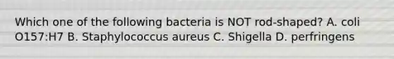 Which one of the following bacteria is NOT rod-shaped? A. coli O157:H7 B. Staphylococcus aureus C. Shigella D. perfringens