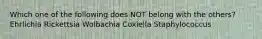 Which one of the following does NOT belong with the others? Ehrlichia Rickettsia Wolbachia Coxiella Staphylococcus