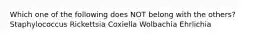 Which one of the following does NOT belong with the others? Staphylococcus Rickettsia Coxiella Wolbachia Ehrlichia