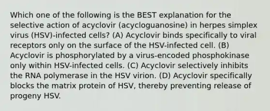 Which one of the following is the BEST explanation for the selective action of acyclovir (acycloguanosine) in herpes simplex virus (HSV)-infected cells? (A) Acyclovir binds specifically to viral receptors only on the surface of the HSV-infected cell. (B) Acyclovir is phosphorylated by a virus-encoded phosphokinase only within HSV-infected cells. (C) Acyclovir selectively inhibits the RNA polymerase in the HSV virion. (D) Acyclovir specifically blocks the matrix protein of HSV, thereby preventing release of progeny HSV.