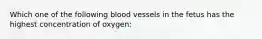 Which one of the following blood vessels in the fetus has the highest concentration of oxygen: