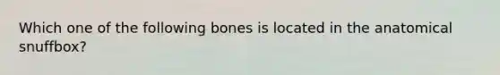 Which one of the following bones is located in the anatomical snuffbox?